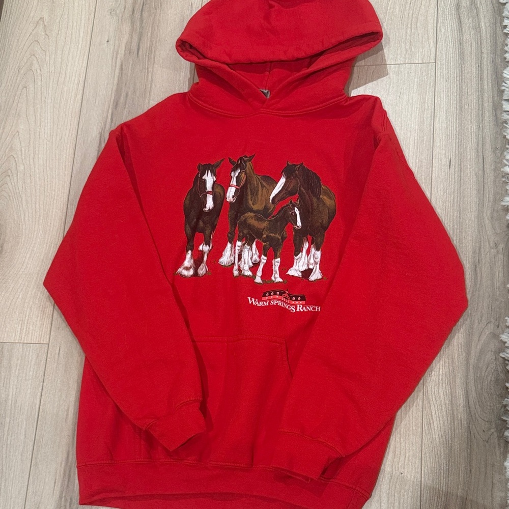Warm springs ranch Graphic Hoodie